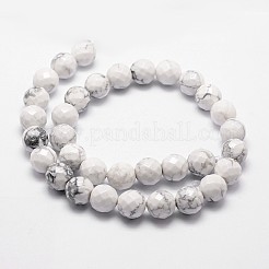 Natural Howlite Beads Strands&nbsp;G-G736-25-8mm