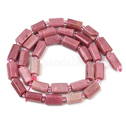 Natural Rhodonite Beads Strands&nbsp;G-L657-D01-01