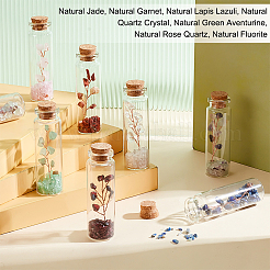 7Pcs 7 Style Natural Jade & Garnet & Lapis Lazuli & Quartz Crystal & Green Aventurine & Rose Quartz & Fluorite Chips Bonsai Tree in Column Glass Wish Bottles&nbsp;AJEW-OC0004-43
