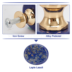 Natural Lapis Lazuli Drawer Knobs&nbsp;FIND-WH0056-40P-01
