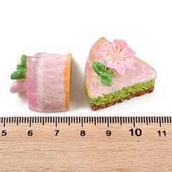 Opaque Resin Cabochons&nbsp;CRES-T027-03