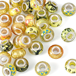 30Pcs Printed Transparent Resin European Beads&nbsp;RESI-TADJ0001-03B