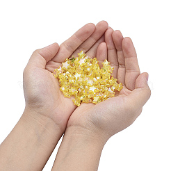 Eco-Friendly Transparent Acrylic Beads&nbsp;TACR-YW0001-01C