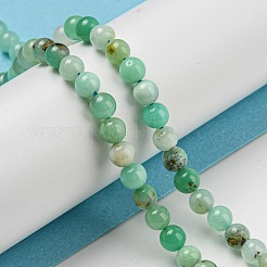 Natural Chrysoprase Beads Strands&nbsp;G-P503-4MM-03