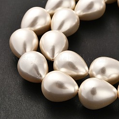 Electroplate Shell Pearl Beads Strands&nbsp;BSHE-G010-16x20mm-01