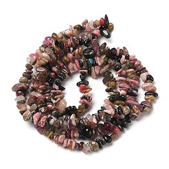 Natural Multicolor Tourmaline Chip Beads Strands&nbsp;G-D093-A05