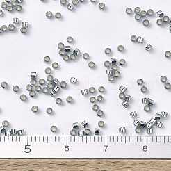 MIYUKI Delica Beads&nbsp;X-SEED-J020-DB0048
