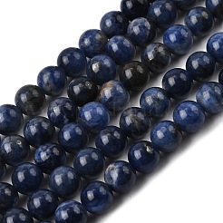 Natural Sodalite Beads Strands&nbsp;G-P582-8mm-02
