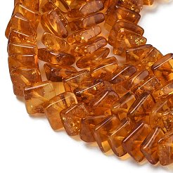 Natural Amber Beads Strands&nbsp;G-K376-C03-01