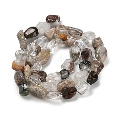 Natural Green Lodolite Quartz Beads Strands&nbsp;G-P497-01E-05
