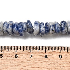 Natural Blue Spot Jasper Beads Strands&nbsp;G-A285-A10-01