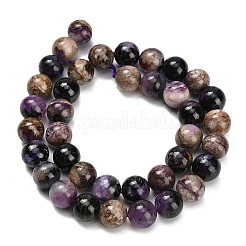 Natural Charoite Beads Strands&nbsp;G-G300-A01-10mm