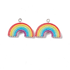 Opaque Resin Pendants&nbsp;RESI-G040-D01-B