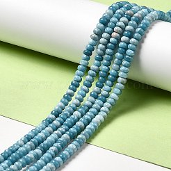 Natural Gemstone Beads Strands&nbsp;G-F730-04A
