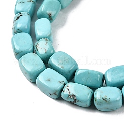 Natural Magnesite Beads Strands&nbsp;G-P598-D01-01