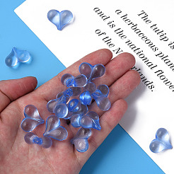 Transparent Acrylic Beads&nbsp;X-MACR-S373-70-B10