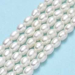 Natural Cultured Freshwater Pearl Beads Strands&nbsp;PEAR-J006-03A