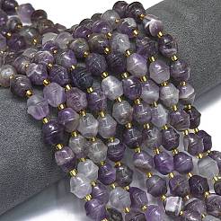 Natural Amethyst Beads Strands&nbsp;G-K389-D29-01