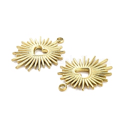 Ion Plating(IP) 316L Surgical Stainless Steel Pendants&nbsp;X-STAS-D029-17G