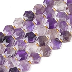 Natural Amethyst Beads Strands&nbsp;G-G144-A07-01