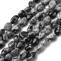 Natural Snowflake Obsidian Beads Strands&nbsp;G-K395-A04-02