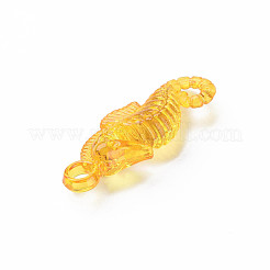 Transparent Acrylic Pendants&nbsp;MACR-N013-042
