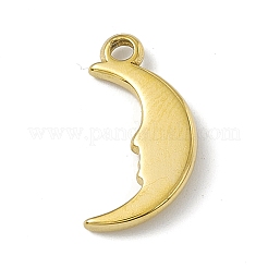 304 Stainless Steel Pendants&nbsp;X-STAS-P316-19G