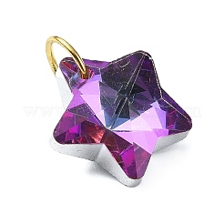 Electroplated Glass Charms&nbsp;PALLOY-JF03060