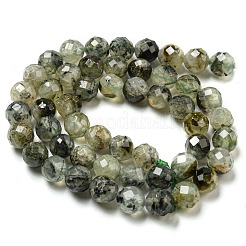 Natural Prehnite Beads Strands&nbsp;G-G457-8mm-03F-01