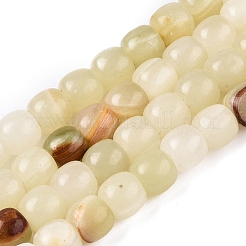 Dyed Natural White Jade Beads Strands&nbsp;G-T138-210B