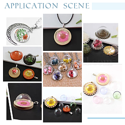 10pcs 5 style Transparent Glass Display Dome&nbsp;FIND-PH0004-59