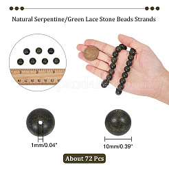 2 Strands Natural Serpentine/Green Lace Stone Beads Strands&nbsp;G-NB0004-72