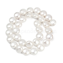 Electroplated Shell Pearl Beads Strands&nbsp;BSHE-G027-13B