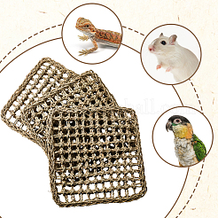 Straw Pet Mat&nbsp;AJEW-WH20060-14A