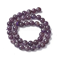 Natural Amethyst Beads Strands&nbsp;G-M445-8MM-01D