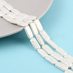 Electroplated Shell Pearl Beads Strands&nbsp;BSHE-C007-C01-01