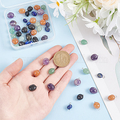 50Pcs 5 Styles Nuggets Natural Red Aventurine & Green Aventurine & Amethyst & Obsidian & Lapis Lazuli Charms&nbsp;PALLOY-HY00026