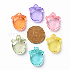 Transparent Acrylic Pendants&nbsp;TACR-S154-28B