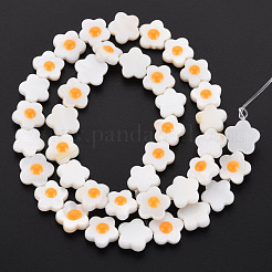 Natural Freshwater Shell Beads Strands with Enamel&nbsp;SHEL-T018-29B