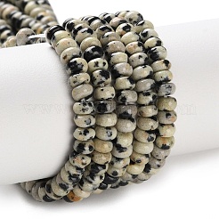Natural Dalmatian Jasper Beads Strands&nbsp;G-K343-C36-01