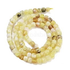 Natural Yellow Opal Beads Strands&nbsp;G-H042-A03-02