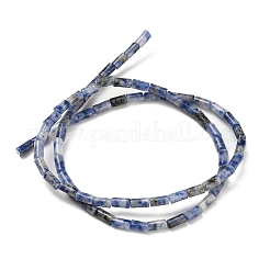 Natural Blue Spot Jasper Beads Strands&nbsp;G-P600-B05-01
