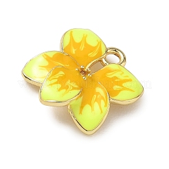 Brass Micro Pave Clear Cubic Zirconia Charms&nbsp;KK-CBA74BF-05G-01A