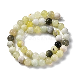 Natural New Jade Beads Strands&nbsp;X-G-F591-16-8MM