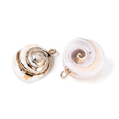Electroplate Natural Sea Shell Pendants&nbsp;SSHEL-T017-45