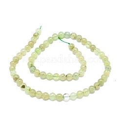 Natural Prehnite Beads Strands&nbsp;G-O201A-06A