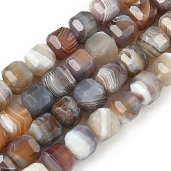 Natural Botswana Agate Beads Strands&nbsp;G-C267-A07