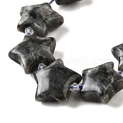 Natural Larvikite Beads Strands&nbsp;G-U023-C01-09