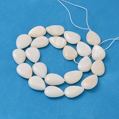 Natural White Shell Beads Strands&nbsp;PBB263Y-1