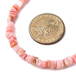 Dyed Natural Freshwater Shell Nuggets Beaded Necklaces&nbsp;NJEW-JN05488-04